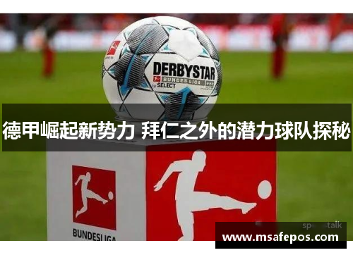 德甲崛起新势力 拜仁之外的潜力球队探秘