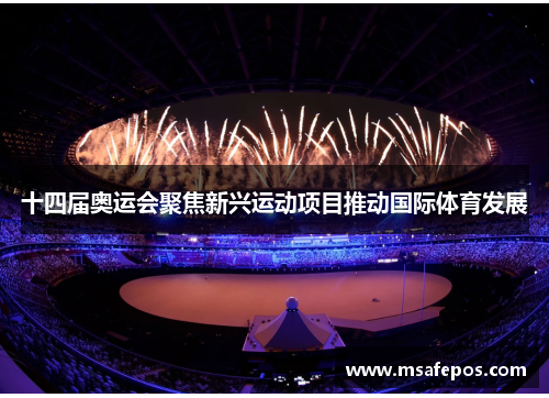 十四届奥运会聚焦新兴运动项目推动国际体育发展